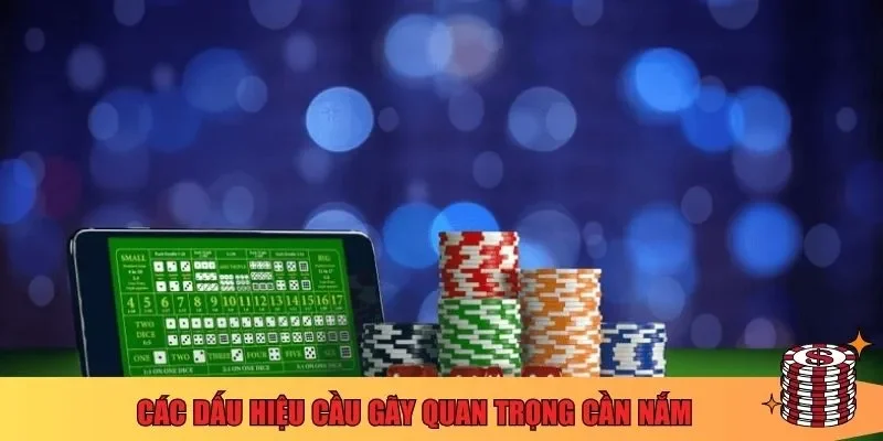 Các dấu hiệu cầu gãy quan trọng cần nắm
